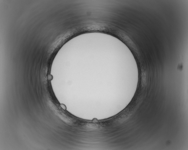 X0000114590490200911301403
