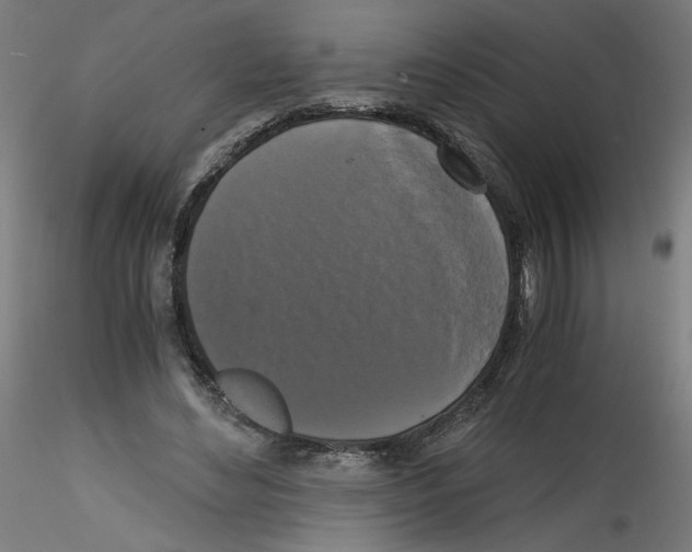 X0000114590492200911301403