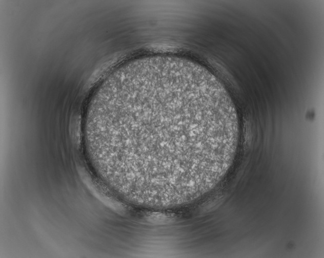 X0000114590494200911301403