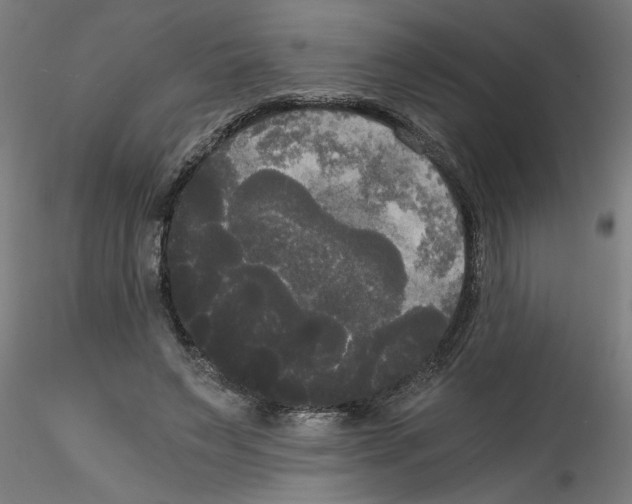 X0000114590495200911301403