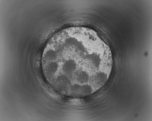 X0000114590499200911301403