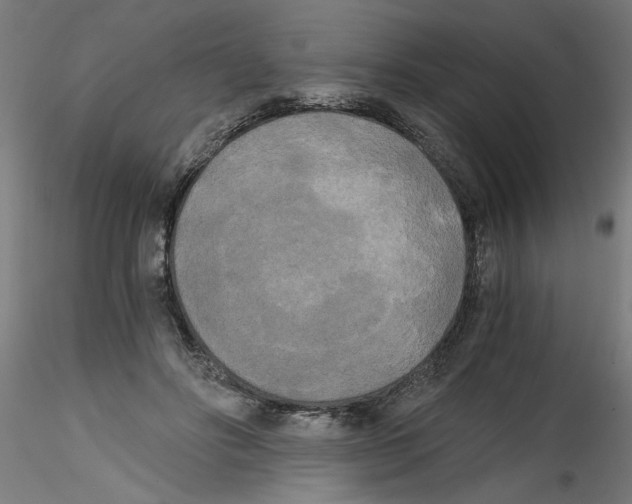 X0000114590502200911301403