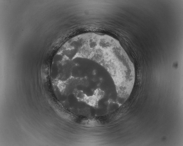 X0000114590503200911301403