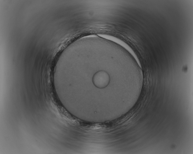 X0000114590504200911301403