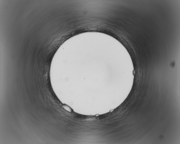 X0000114590505200911301403
