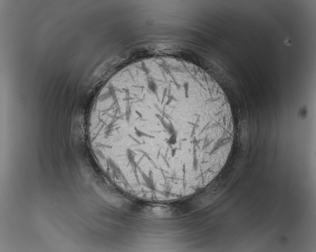 X0000114590506200911301403