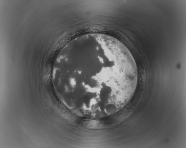 X0000114590507200911301403