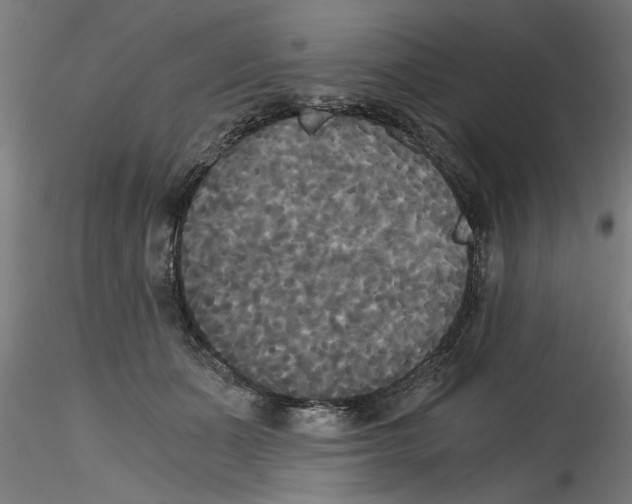 X0000114590511200911301403