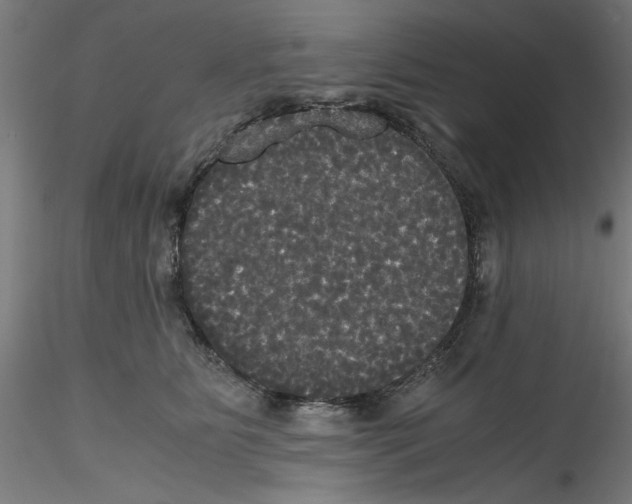 X0000114590515200911301403