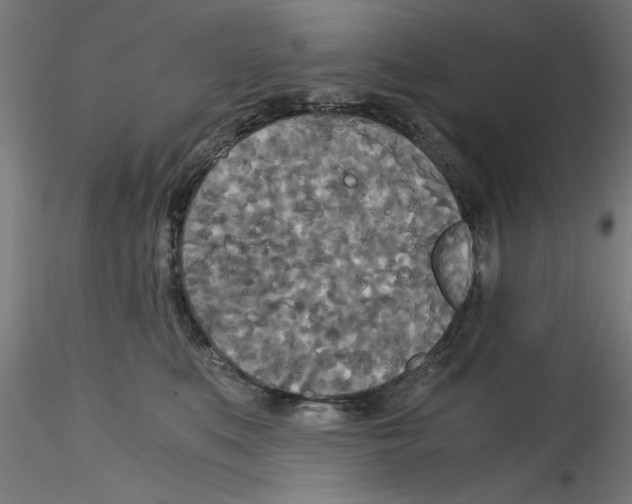 X0000114590519200911301403