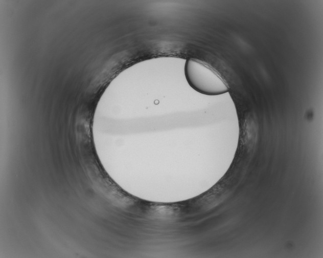 X0000114590522200911301403