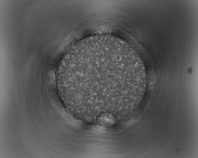 X0000114590523200911301403