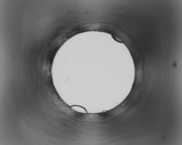 X0000114590525200911301403