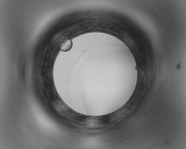 X0000114590526200911301402