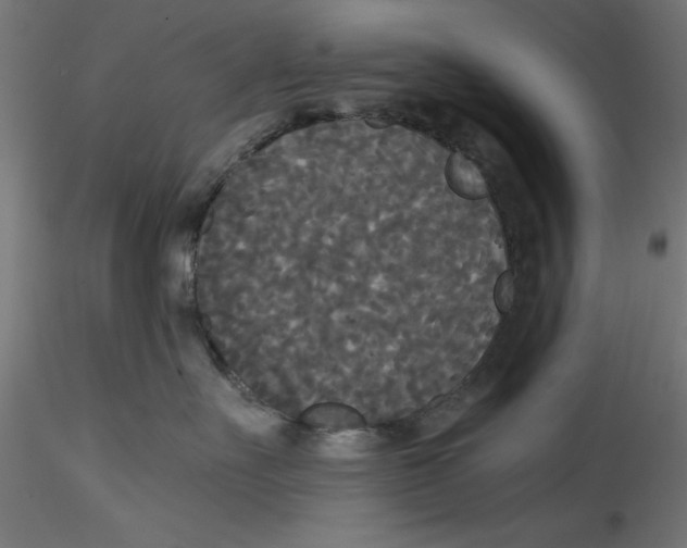 X0000114590527200911301402