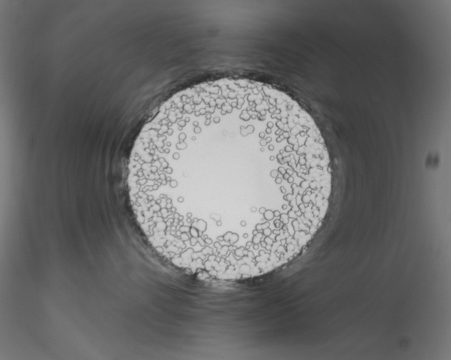 X0000114590528200911301402