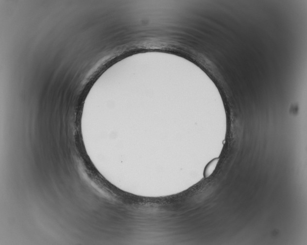 X0000114590530200911301402