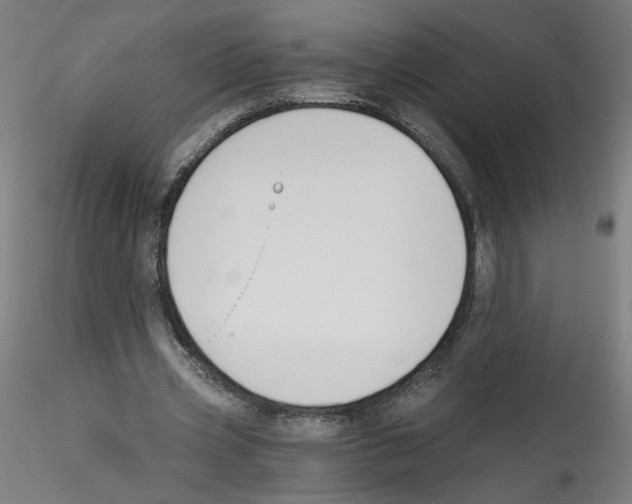 X0000114590533200911301402