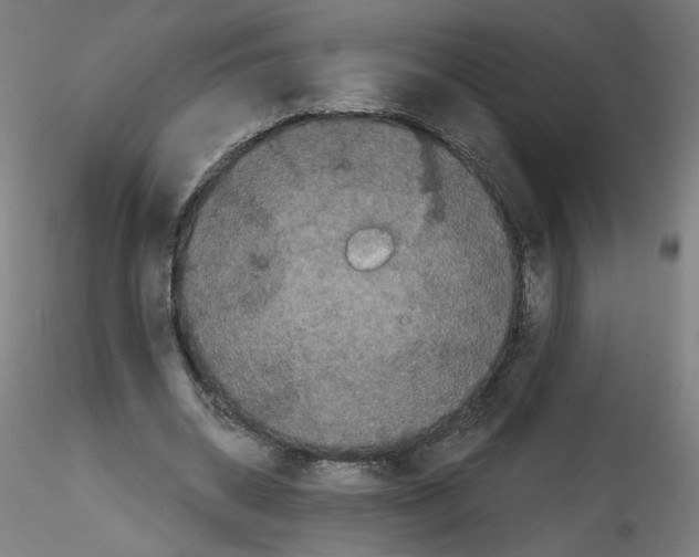X0000114590534200911301402