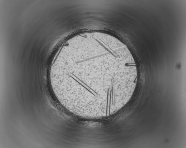 X0000114590539200911301402
