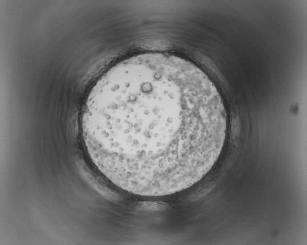 X0000114590541200911301402
