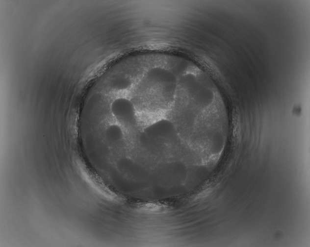 X0000114590542200911301402