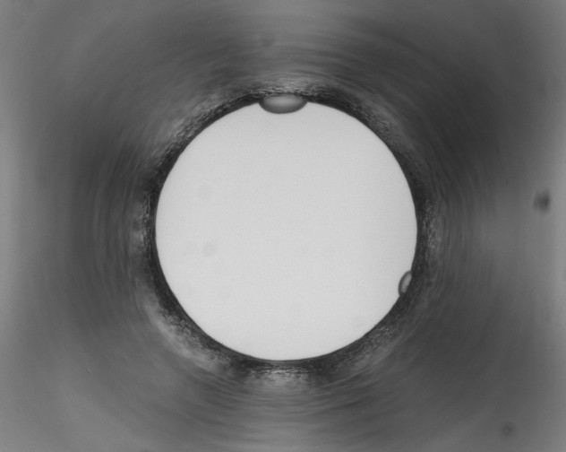 X0000114590546200911301402
