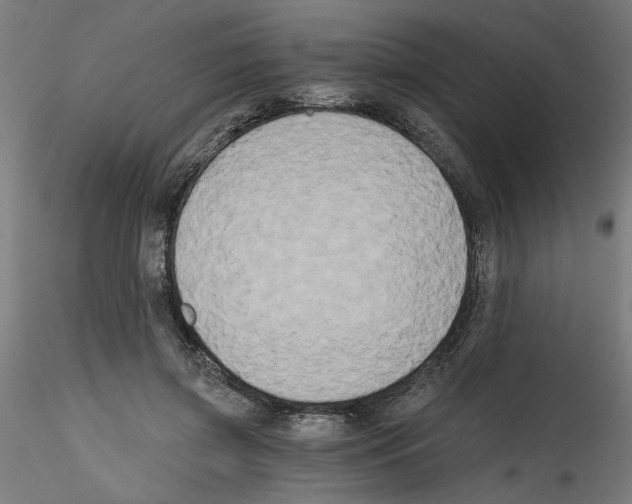 X0000114590549200911301402