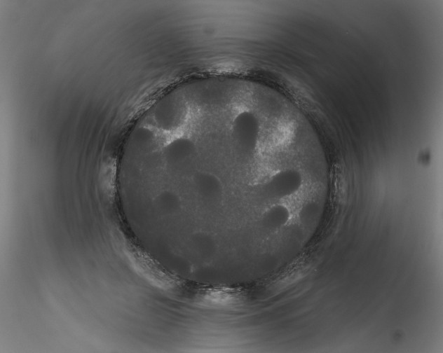 X0000114590550200911301402