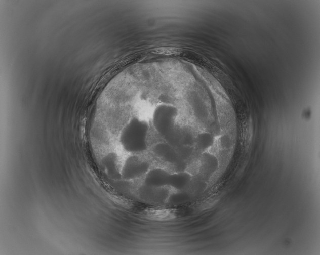 X0000114590553200911301402