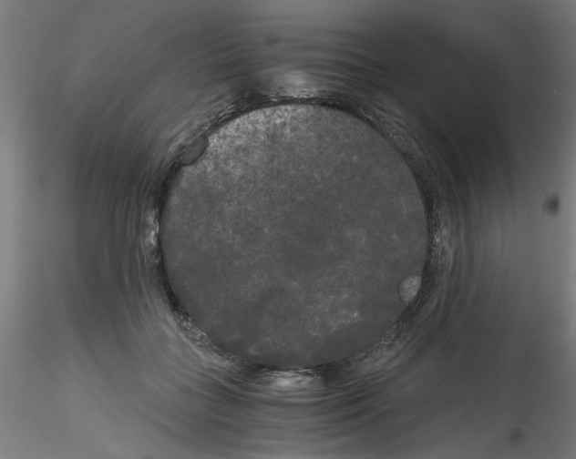 X0000114590555200911301402