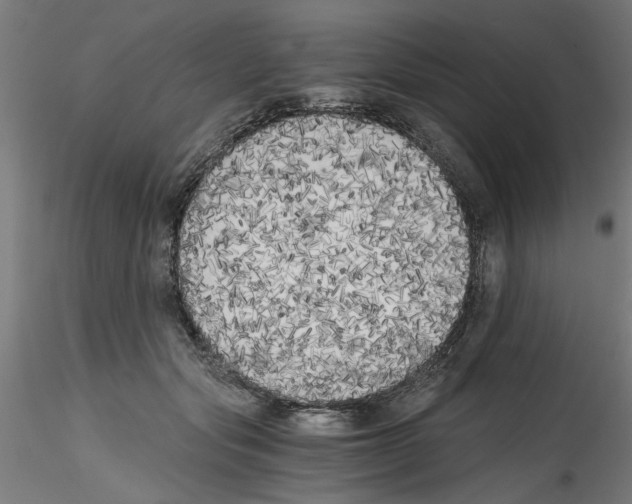 X0000114590557200911301402