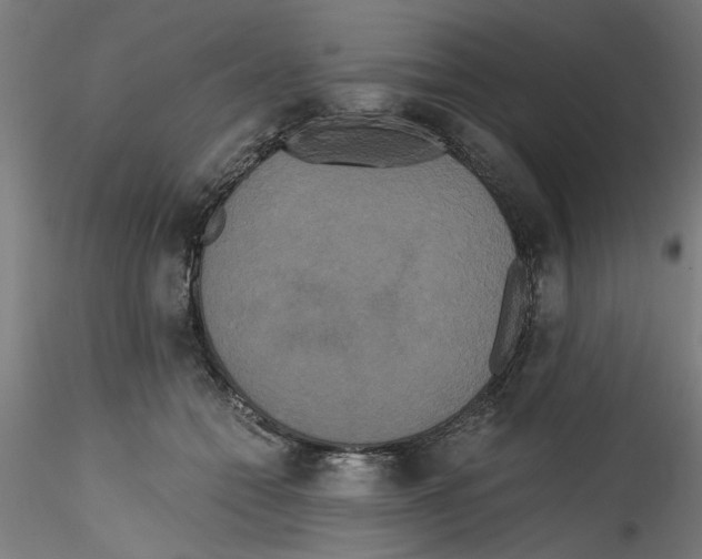 X0000114590558200911301402