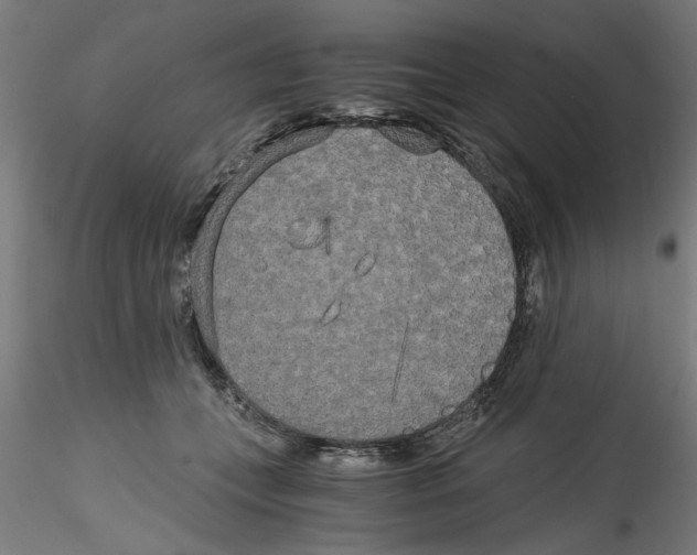 X0000114590559200911301402