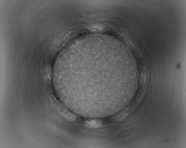 X0000114590561200911301402