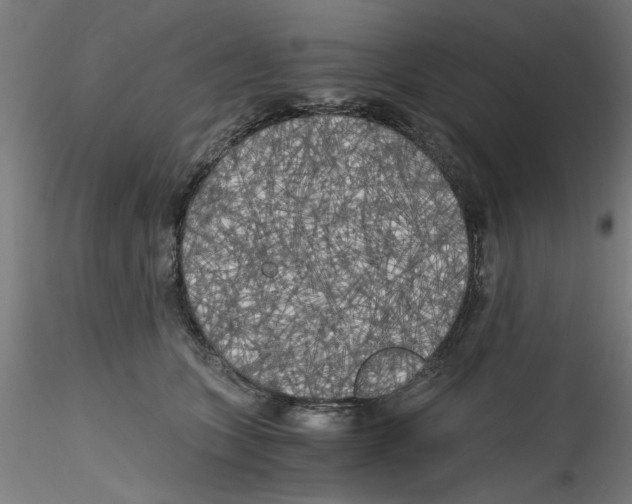 X0000114590563200911301402