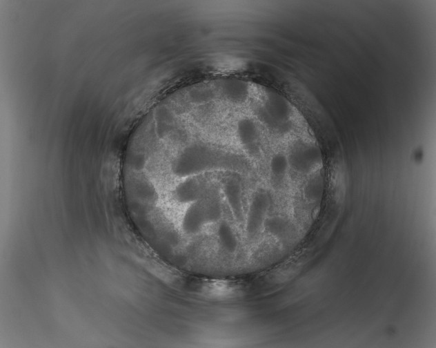X0000114590565200911301402