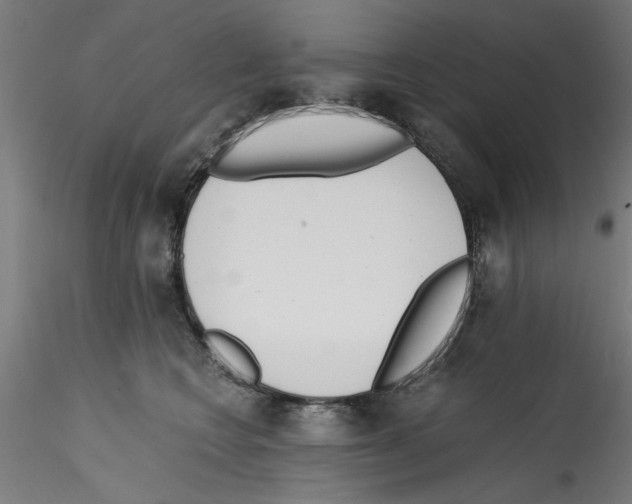 X0000114590566200911301402