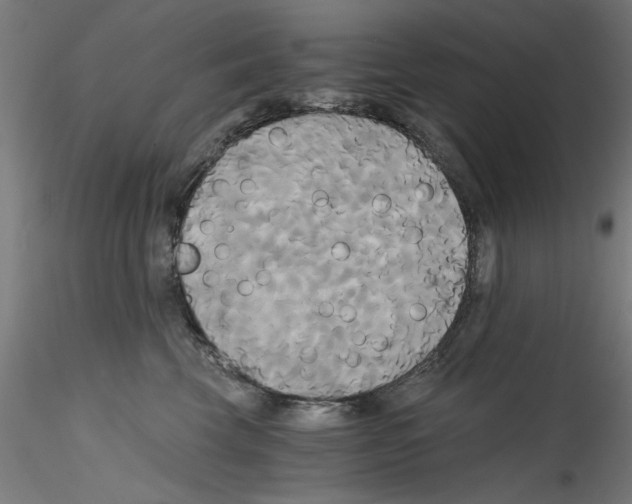 X0000114590569200911301402