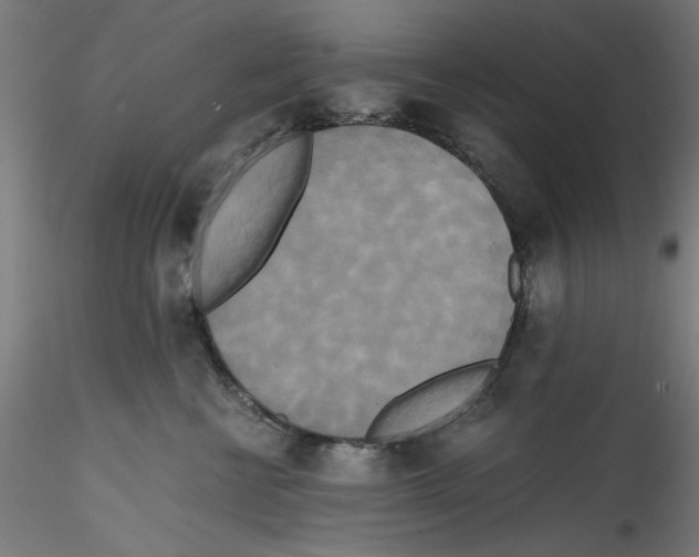 X0000114590570200911301402