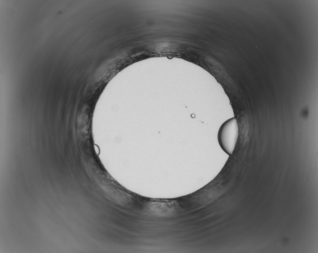 X0000114590571200911301402