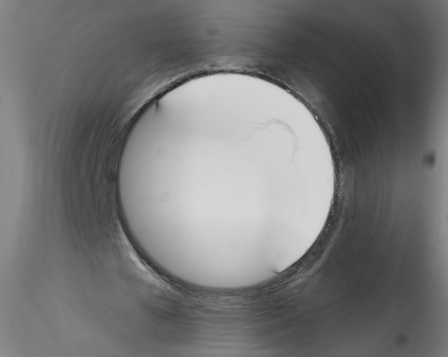 X0000114590577200911301402
