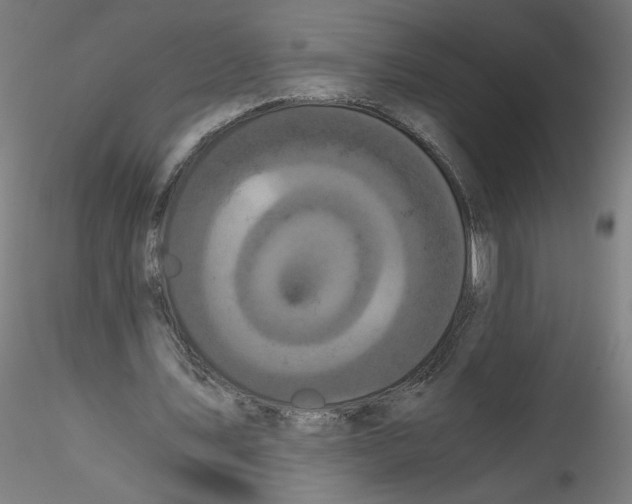 X0000114590579200911301402