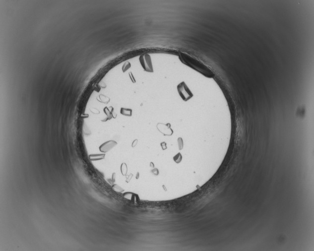 X0000114590580200911301402