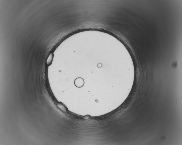 X0000114590581200911301402
