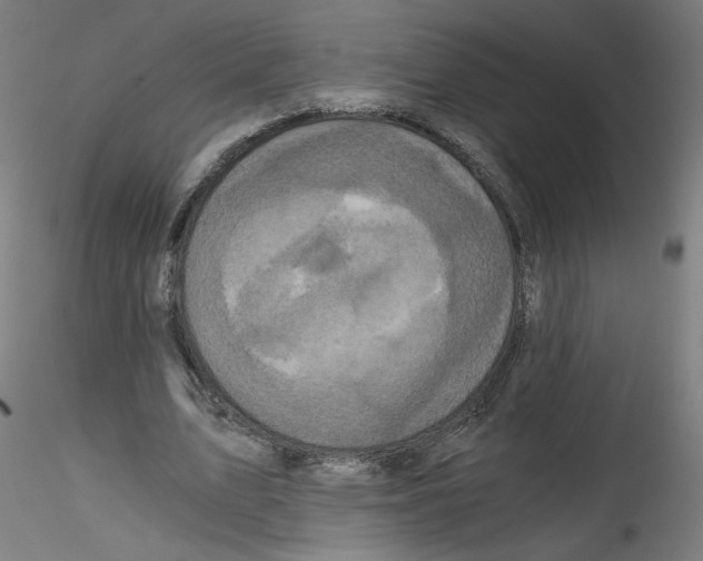 X0000114590583200911301402