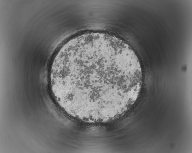 X0000114590584200911301402
