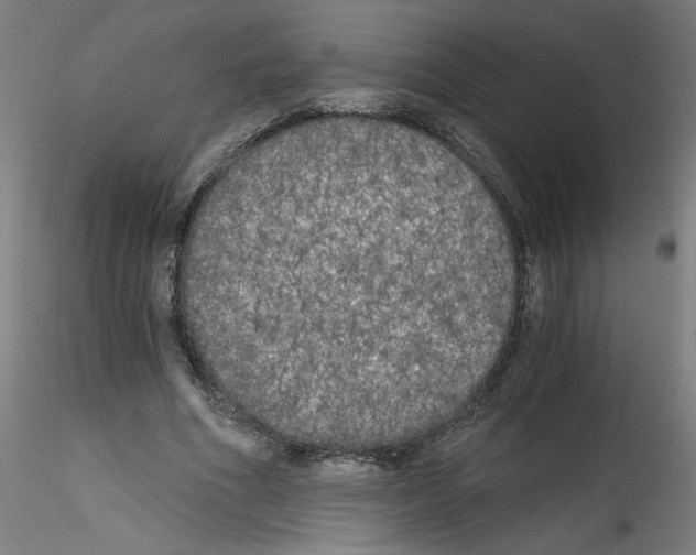 X0000114590586200911301402