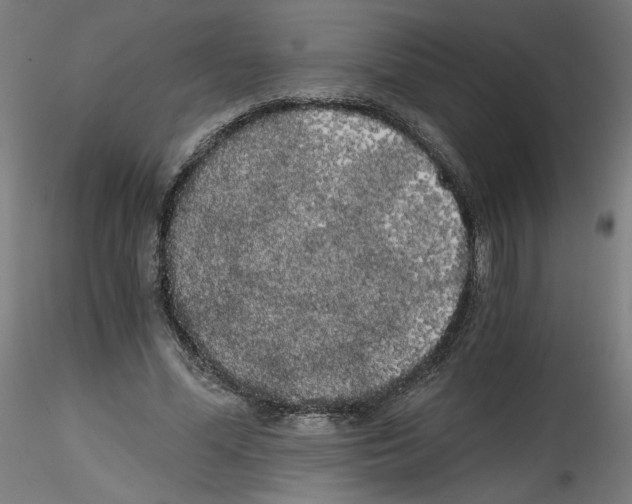 X0000114590588200911301402