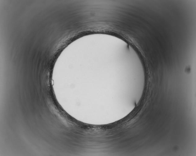 X0000114590589200911301402